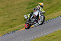 PJ-Motorsport-2019;anglesey-no-limits-trackday;anglesey-photographs;anglesey-trackday-photographs;enduro-digital-images;event-digital-images;eventdigitalimages;no-limits-trackdays;peter-wileman-photography;racing-digital-images;trac-mon;trackday-digital-images;trackday-photos;ty-croes